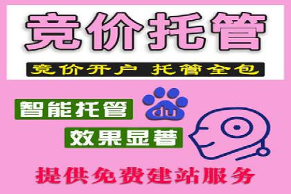 信息流平台运营成功案例